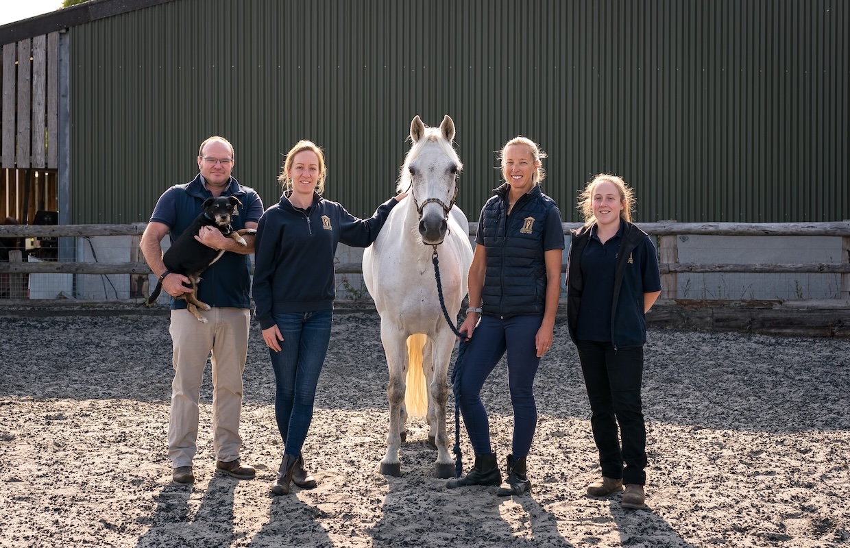 Cheltenham Equine Vets 4 Veterinary Team Members with a White Horse